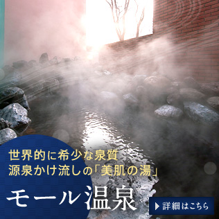 世界的に希少な泉質 源泉かけ流しの「美肌の湯」　モール温泉